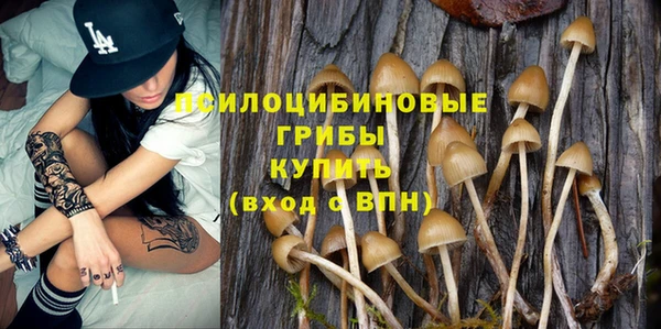 скорость Шадринск