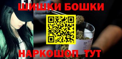 индика Будённовск