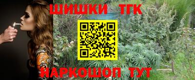 индика Будённовск
