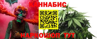 индика Будённовск