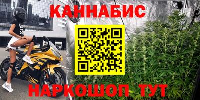 индика Будённовск
