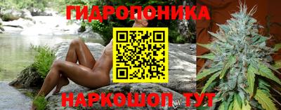 марки lsd Бийск