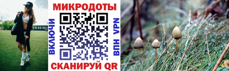 Псилоцибиновые грибы ЛСД  omg зеркало  Заводоуковск 