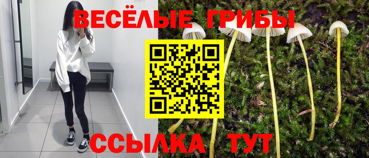 Псилоцибиновые грибы мухоморы  Вход с VPN  Заводоуковск  Галлюциногенные грибы прущие грибы 