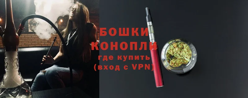 где купить наркоту  Заводоуковск  kraken как зайти  Конопля SATIVA & INDICA 