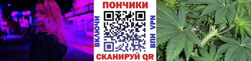 Бошки марихуана индика Заводоуковск