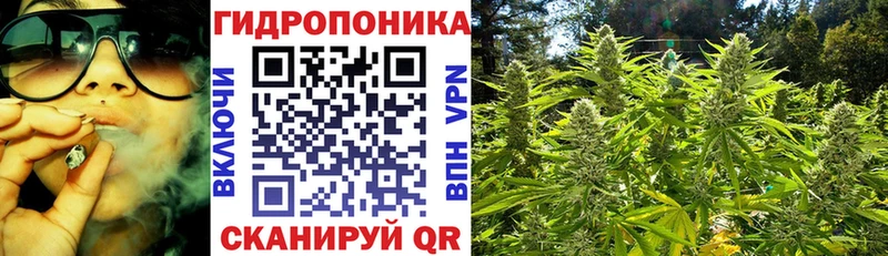 Бошки Шишки Ganja  кракен ТОР  Заводоуковск 