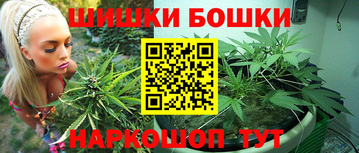 Марихуана гибрид  Шишки марихуана сатива  Заводоуковск  Бошки Шишки THC 21%  Вход с VPN 